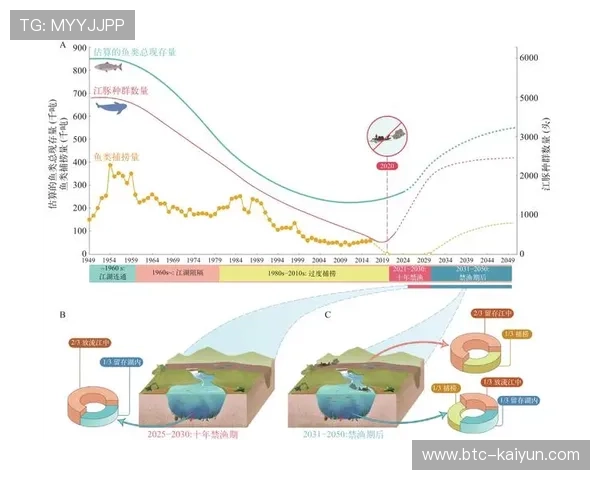 生态系统伙伴数量稳步增长 促进解决方案持续迭代创新